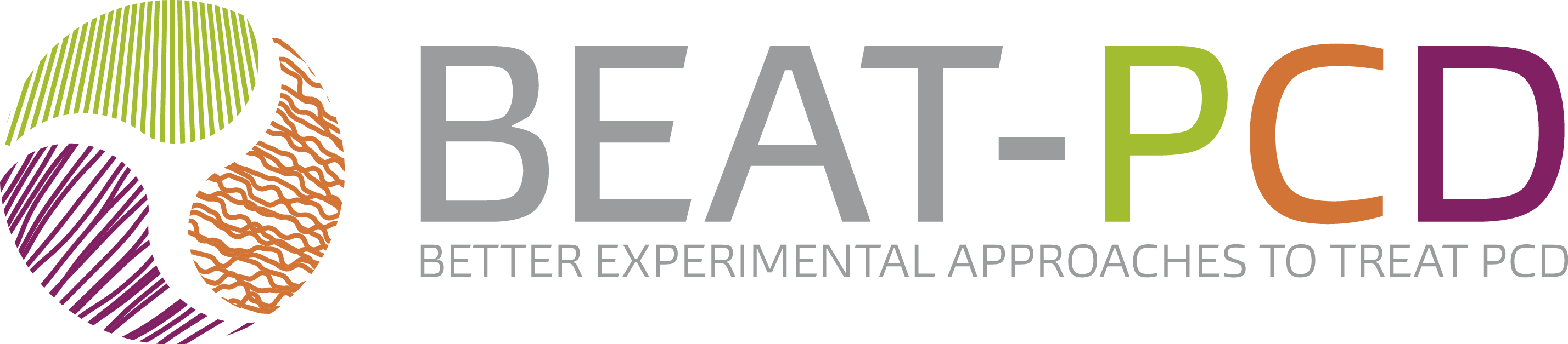 BEAT PCD website